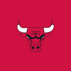 Chicago Bulls