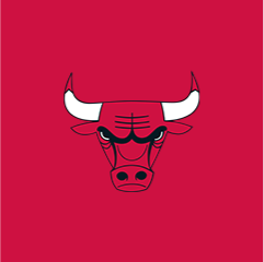 Chicago Bulls